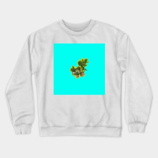 Plants in Rattan Baskets Crewneck Sweatshirt